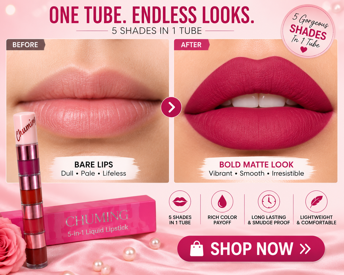 5 in 1 Matte Lipstick Combo Kit
